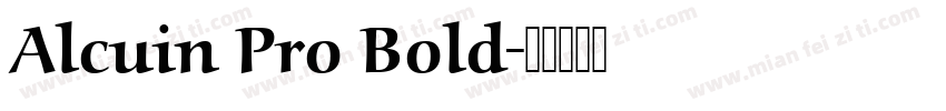 Alcuin Pro Bold字体转换